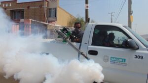 Fears of mosquito-borne diseases can be allayed effectively in the population by visible public health measures such as mosquito control spraying campaigns in streets and parks. 