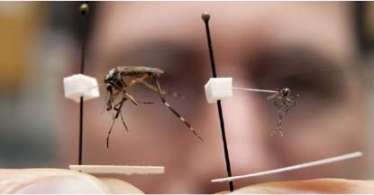 fighting mosquitoes with automated misting systems