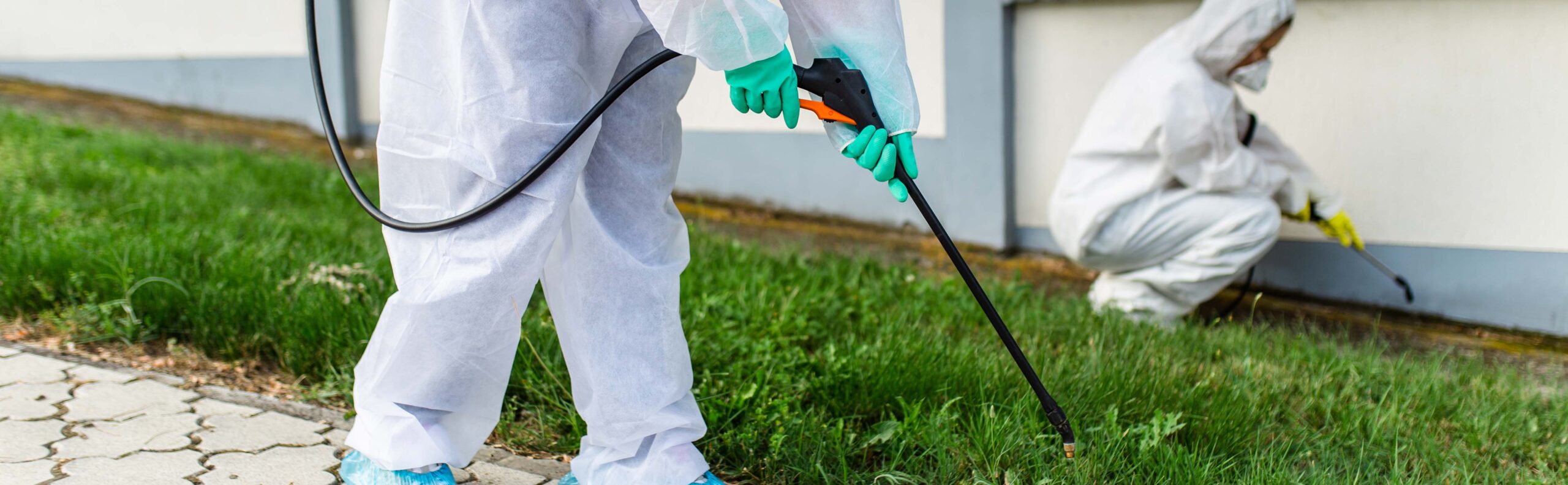 Benefits of mosquito misting systems vs spraying services