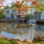 Ponds are breeding grounds for mosquitoes in florida